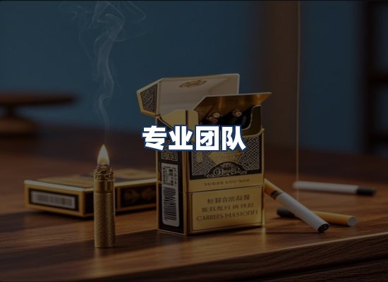 专业团队